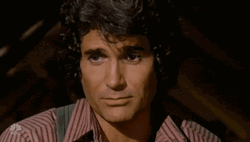 Michael Landon Nepotism GIF