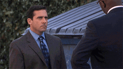 Michael Scott I Understand Nothing GIF