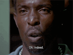 Michael Williams For Sure Indeed GIF