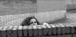 Michella Kox Investigation GIF