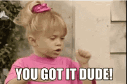 Michelle Tanner Saying You Got It Dude GIF