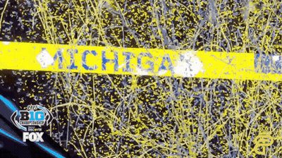 Michigan Banner GIF