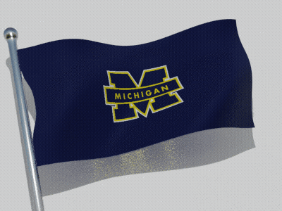 Michigan Flag With Blue And Yellow M GIF