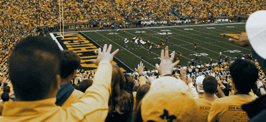 Michigan Football Fans Cheering GIF