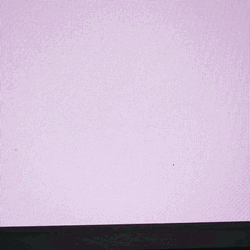 Michigan State Player Just Saying Hi  GIF