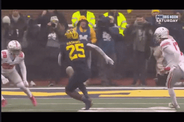 Michigan Wolverines Chaotic Game GIF