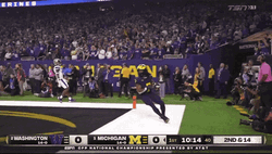 Michigan Wolverines Chest Bump GIF