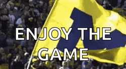 Michigan Wolverines Enjoy The Game GIF