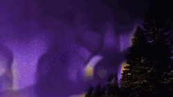 Michigan Wolverines Jj Mccarthy GIF