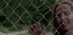 Michonne The Walking Dead Zombie GIF