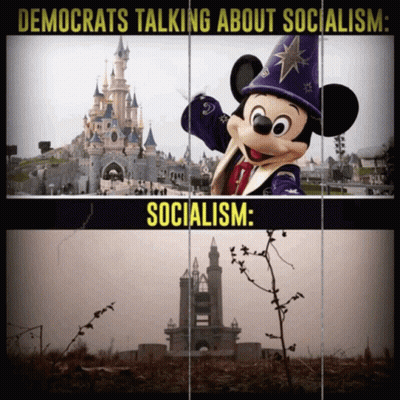 Mickey Mouse And Castle Democrats Talking About Socialism GIF