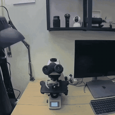 Microscope on Desk in Front of Computer Monitor