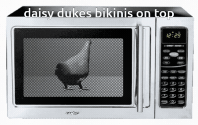 Microwave With Daisy Dukes Bikinis On Top GIF
