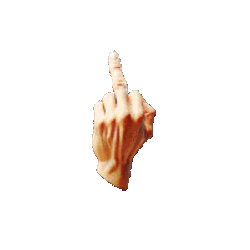Middle Finger Flip Off Sticker GIF