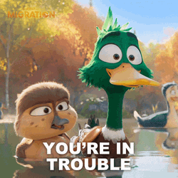 Migration Gwen Mallard You're In Trouble GIF