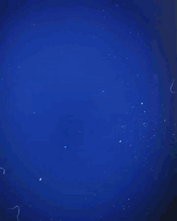 Miha Zajc Goal GIF