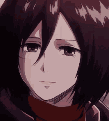 Mikasa Ackerman Smiling Softly