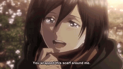 Mikasa Attack On Titan Thank You GIF