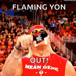 Mike Hulk Hogan Mic Drop GIF
