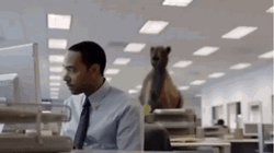 Mike Mike Camel What Day Is It Mike Lol GIF