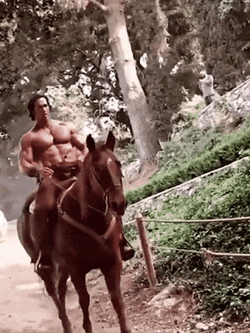 Mike O'Hearn Horseback Ride GIF
