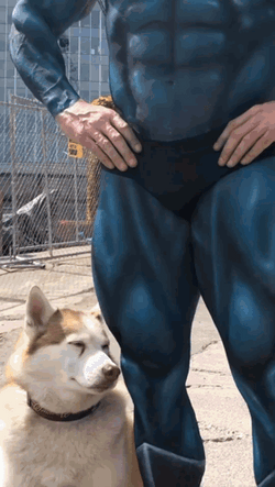 Mike O'Hearn Superman Suit GIF