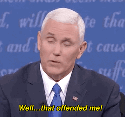 Mike Pence Saying Well That Offended Me GIF