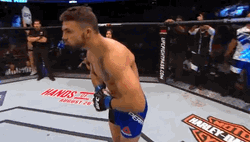 Mike Perry Bowing For Everyone GIF