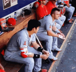 Mike Trout And Shohei Ohtani GIF