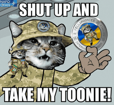 Military Cat Holding Coin Saying 2 Fellaronies GIF