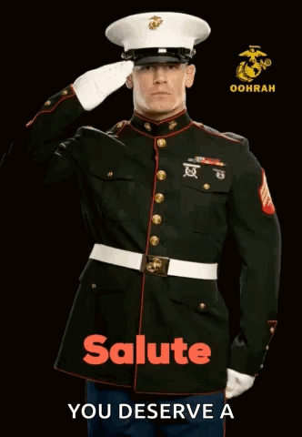 Military Man Saluting Saying Salute You Deserve A GIF