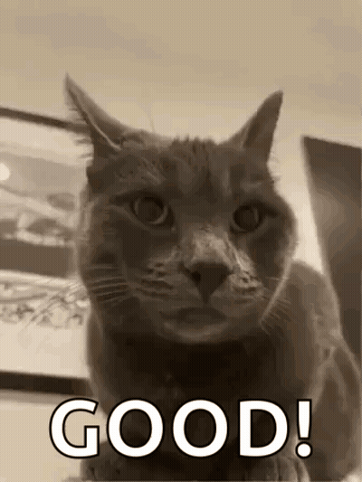 Military Man Saying Happy Birthday Dear Alessio To Soldiers GIF