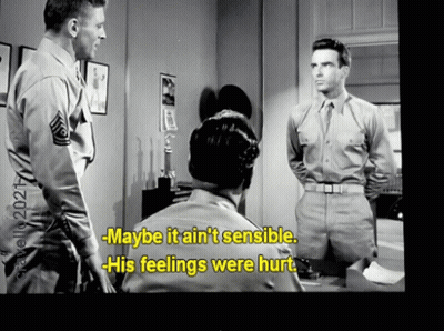 Military Man Says Maybe It Ain't Sensible GIF