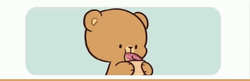Milk And Mocha Bear Eating Loop GIF