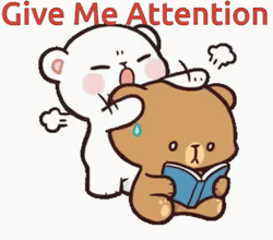 Milk And Mocha Give Me Attention GIF