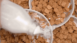 Milky Breakfast Cereals GIF