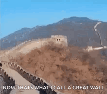 Milly Rock Dance Goes To Great Wall GIF