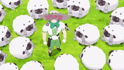 Milo Is In The Farm With Many Wooloo GIF