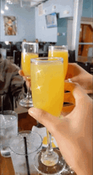 Mimosa Friends Cheers