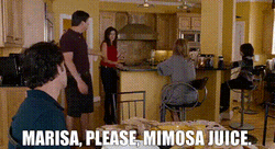 Mimosa Juice Please GIF