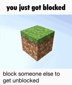 Minecraft Blocked GIF