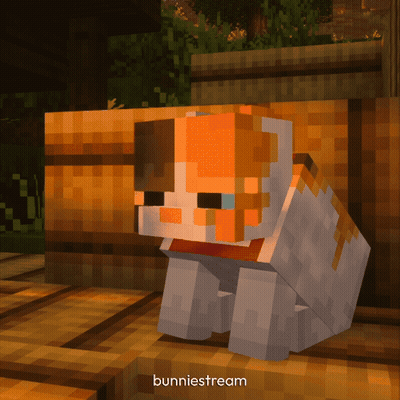 Minecraft Cat Bunnystream GIF