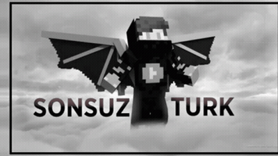 Minecraft Character Sonsuz Turk GIF