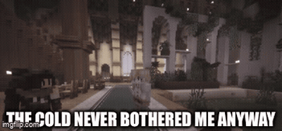Minecraft Cold Never Bothered Me Anyway GIF
