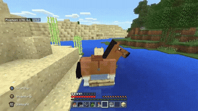 Minecraft Horse In Water With Cat On Back GIF