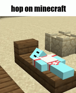 Minecraft Meme Hop On GIF