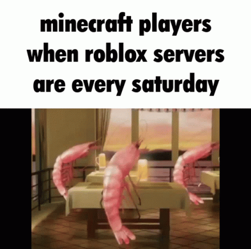 Minecraft Players and Roblox Servers Meme