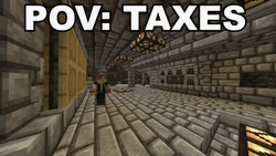 Minecraft POV Taxes GIF