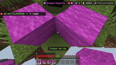 Minecraft Purple Blocks Equipe Magenta GIF