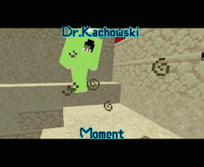 Minecraft Screenshot Dr Kachowski GIF